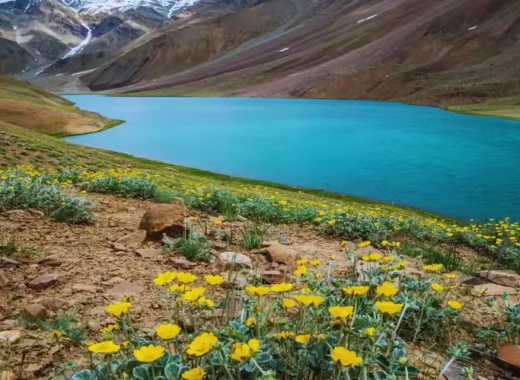 Chandratal Lake: Discover the Magical Moon Lake of Himachal Pradesh