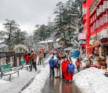 Shimla